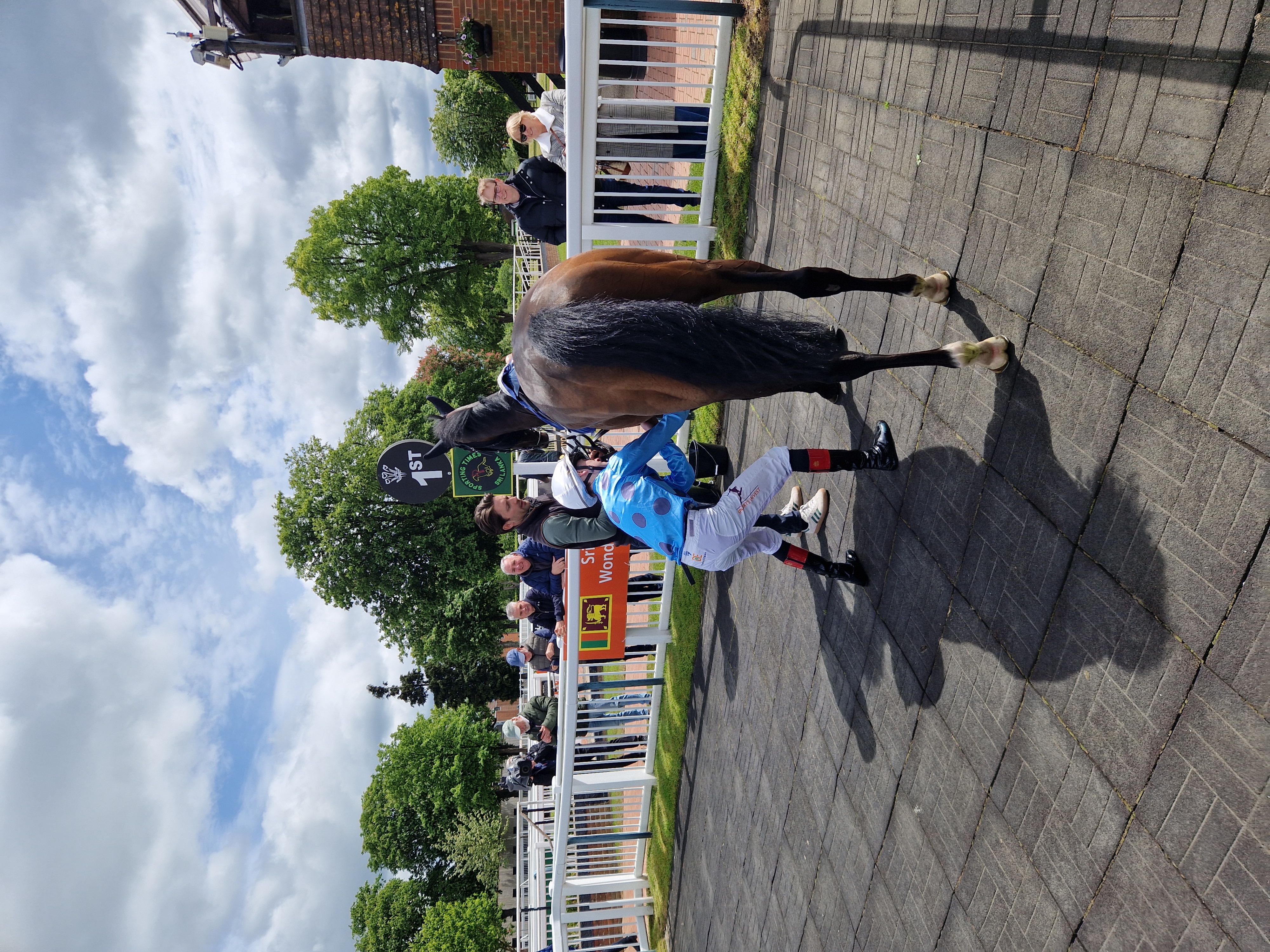 King's Hand at Lingfield Park picture by Peter Moore