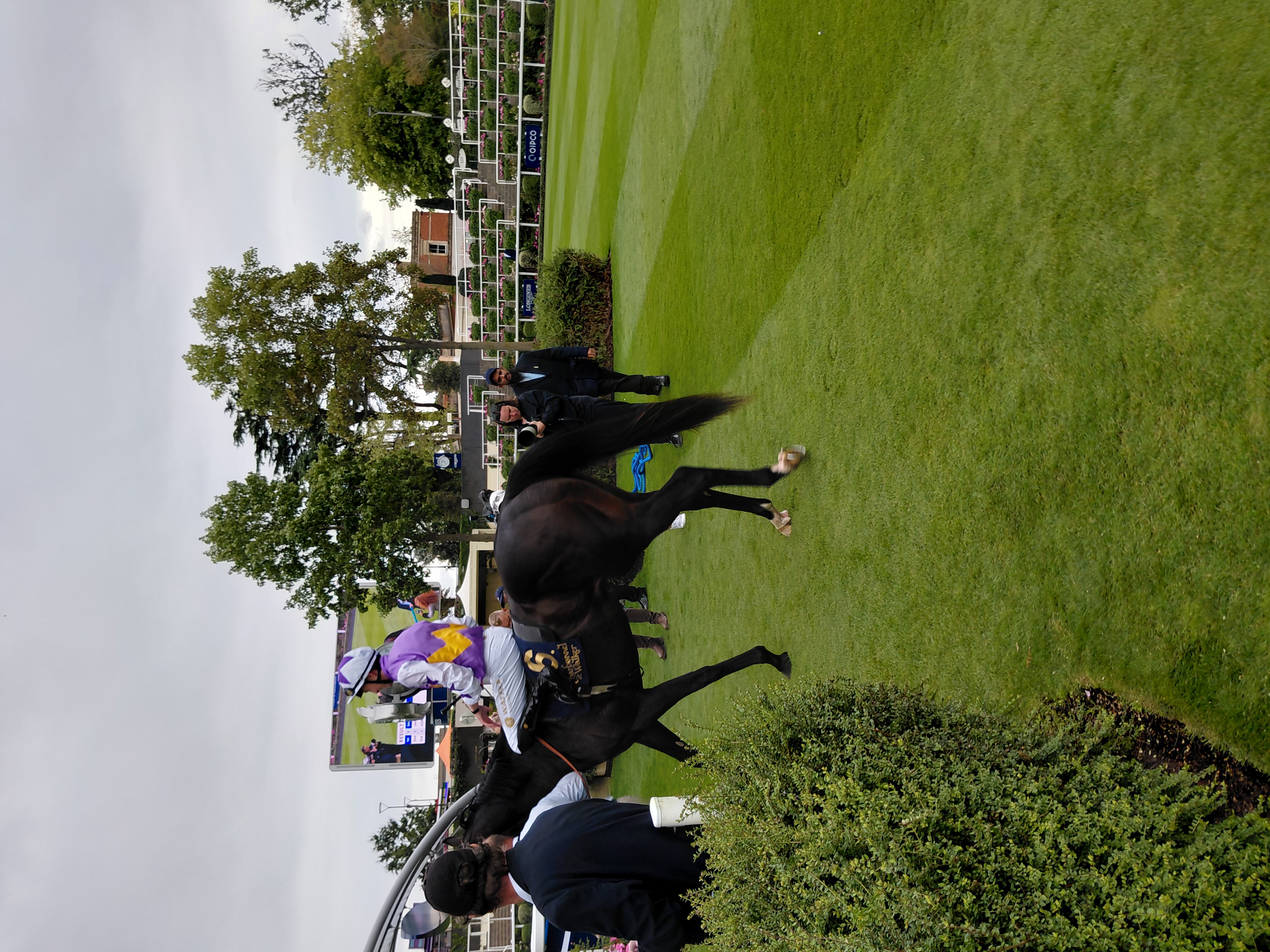 Picture: San Jose at Ascot Picture by Peter Moore