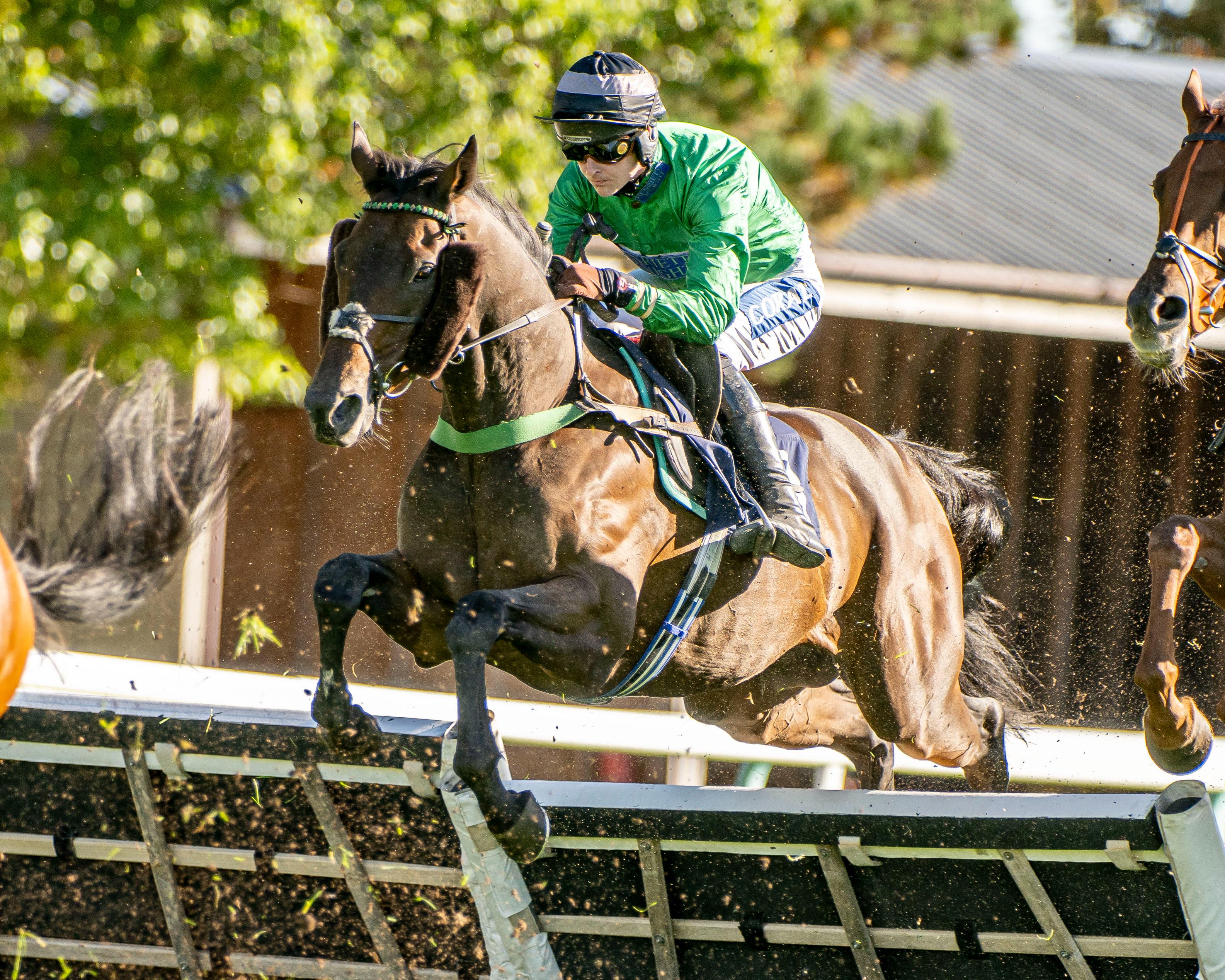 Picture: Motazzen Credit: Darren Cool